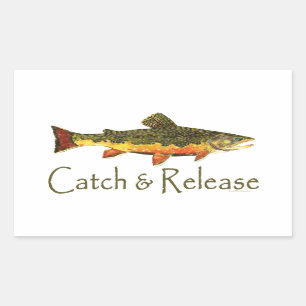 Catch & Release Trout Fishing Sticker