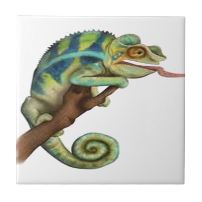 CATCH THE EYE TILE (Front)