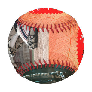 Catcher and Glove ALEX.B – 2022 Baseball