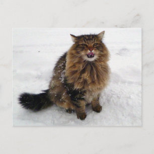 Catching a snowflake postcard