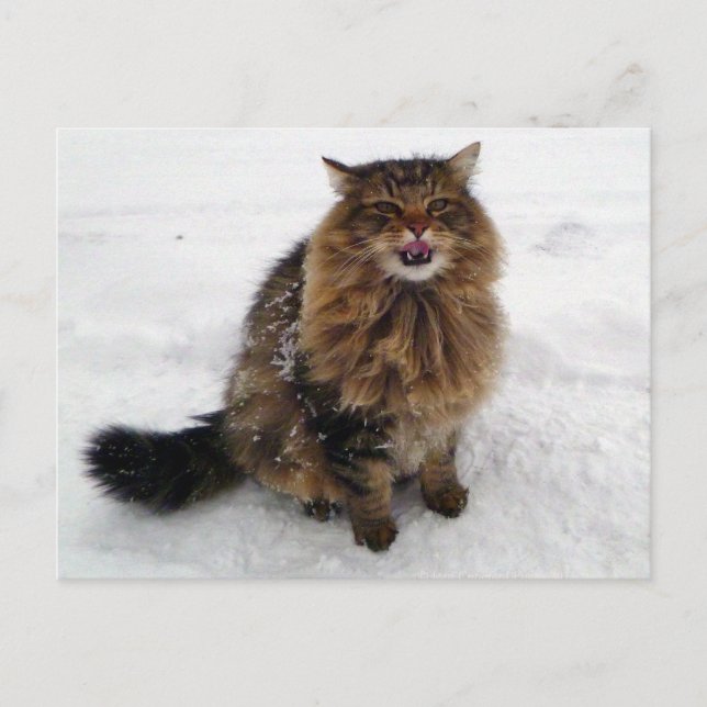 Catching a snowflake postcard (Front)