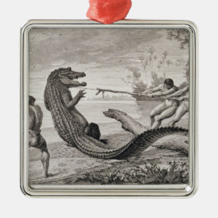 Catching an alligator with lasso metal ornament