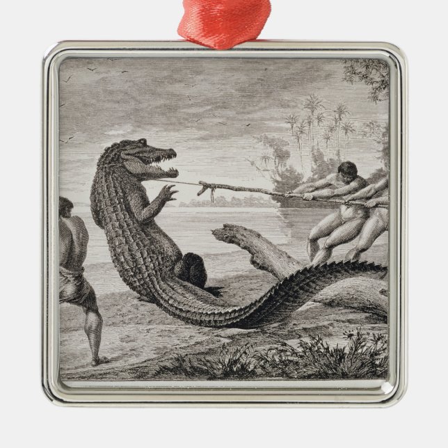 Catching an alligator with lasso metal ornament (Front)