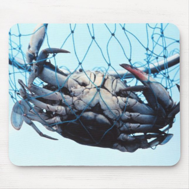 Catching Blue Crab Mouse Pad (Front)