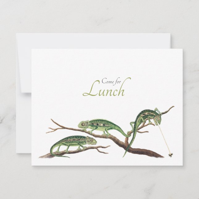Catching Flies Quirky Lunch Invitation Chameleons (Front)