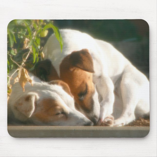 Catching zzzz's mouse pad (Front)