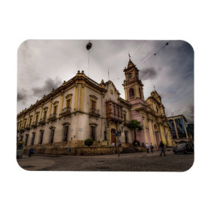 Catedral De Salta Magnet