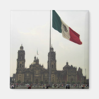 Catedral en el Zocalo del DF con la Bandera Magnet