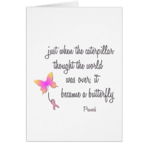 Caterpillar Became a Butterfly