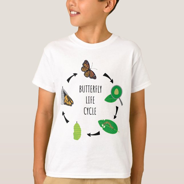 Caterpillar Butterfly Life Cycle Biology Science T-Shirt (Front)