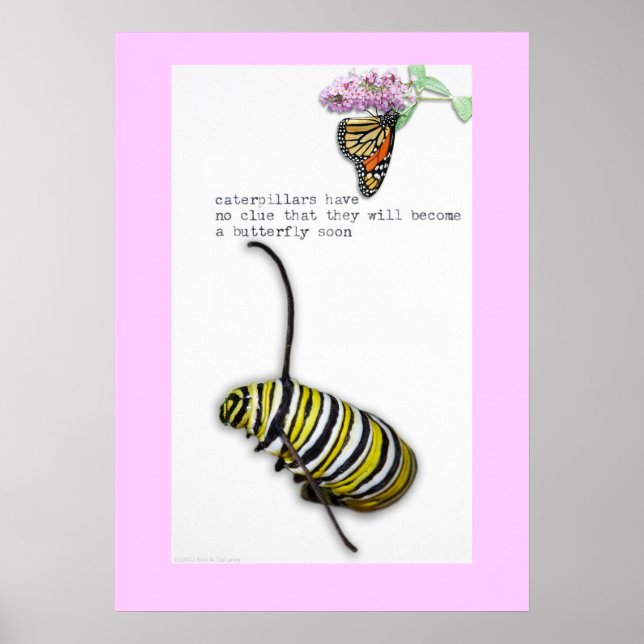 Caterpillar Haiku poster (Front)