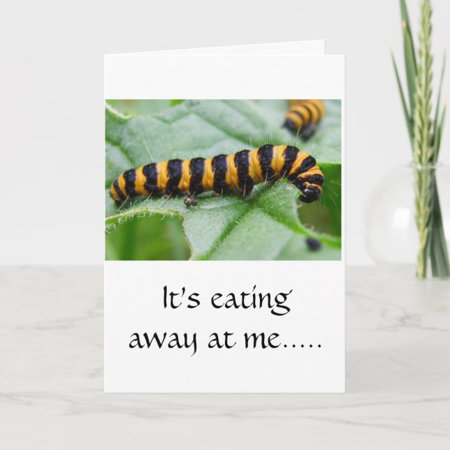 Caterpillar - Je suis désolé carte (Devant)