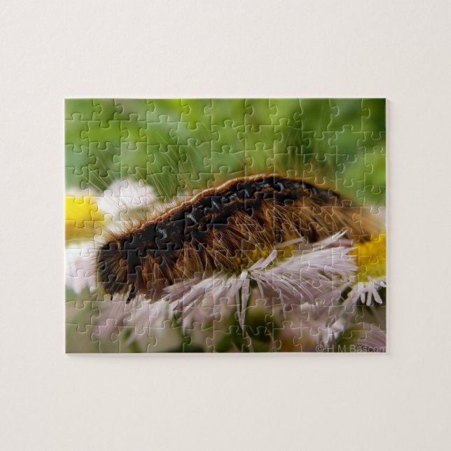 Caterpillar Jigsaw Puzzle (Horizontal)