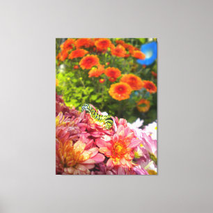 Caterpillar on Mums Wrapped Canvas