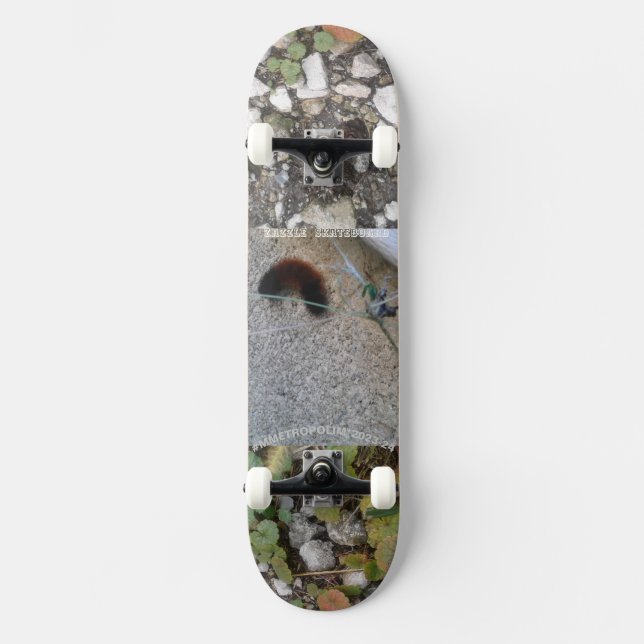 caterpillar on skateboard deck  mmetropolim design (Front)