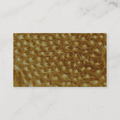 Caterpillar - skin business card (Back)