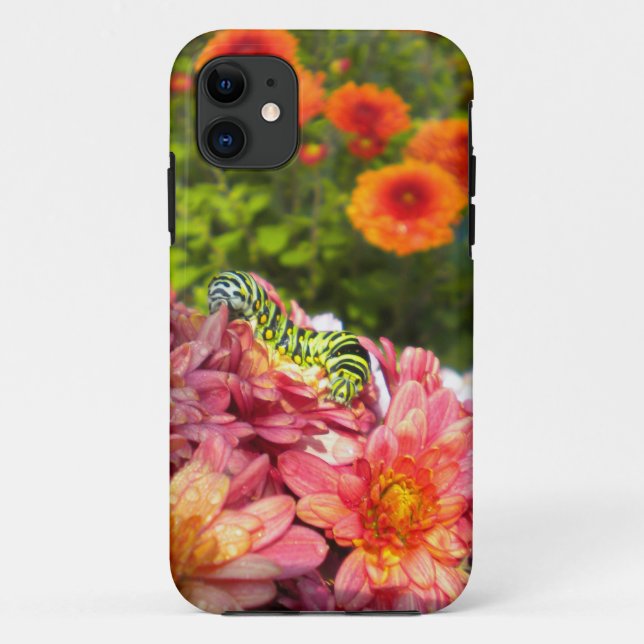 Caterpillar Sunning iPhone 5 case (Back)