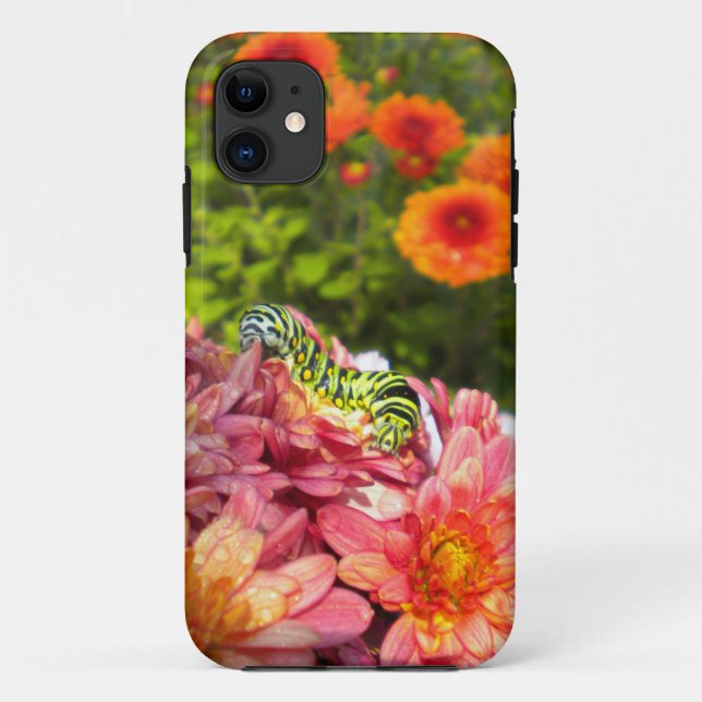Caterpillar Sunning iPhone 5 case (Back)