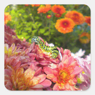 Caterpillar Sunning Stickers