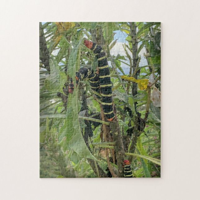 Caterpillars Red Yellow Black Eating Leaves Nature Jigsaw Puzzle (Vertical)