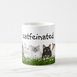 Catfeine not caffeine coffee mug