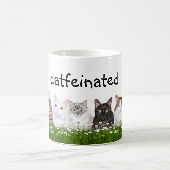 Catfeine not caffeine coffee mug (Center)