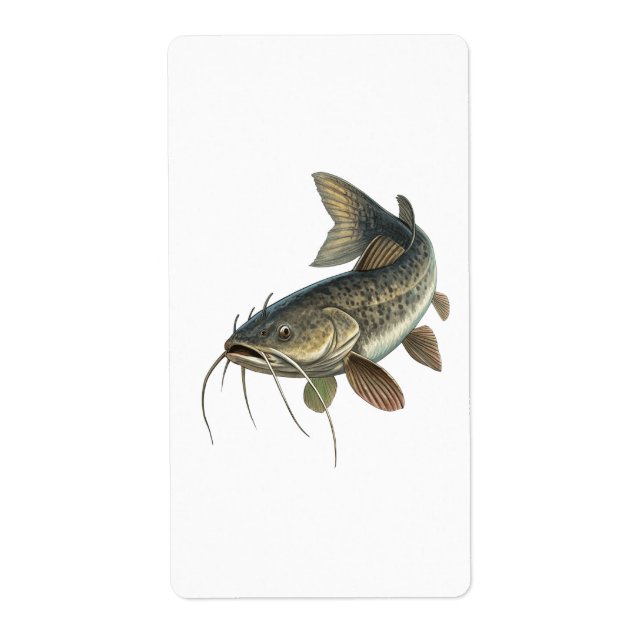 Catfish (Front)