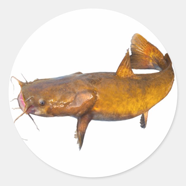 Catfish Fishing Classic Round Sticker (Front)
