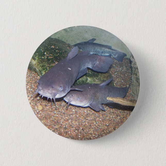 Catfish fishing zoo 2 inch round button (Front)