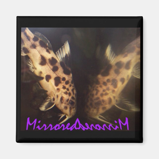 Catfish (mirrored) magnet (Front)