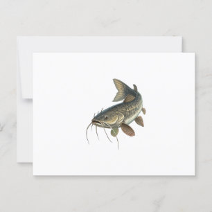 Catfish Postcard