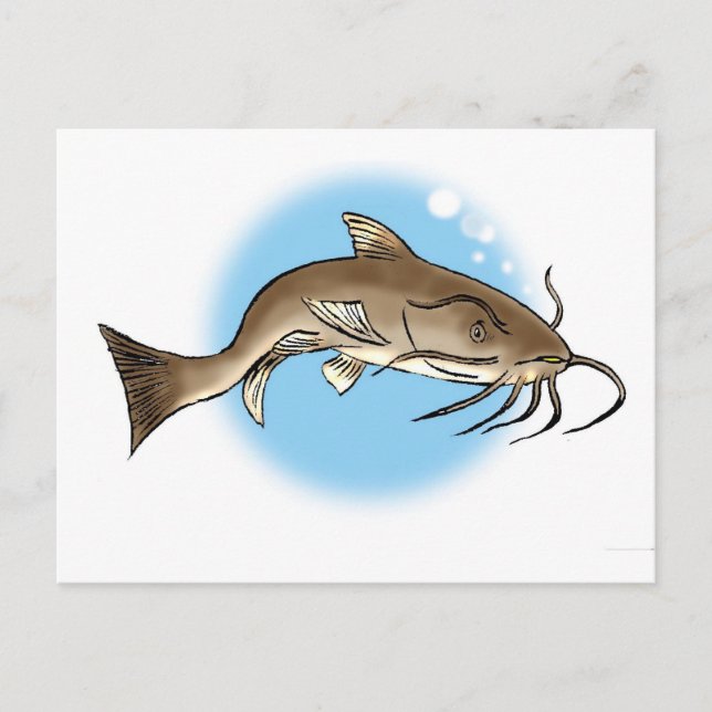 Catfish Postcard (Front)