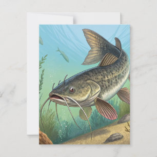 Catfish Postcard
