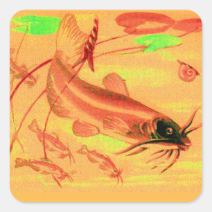 catfish square sticker
