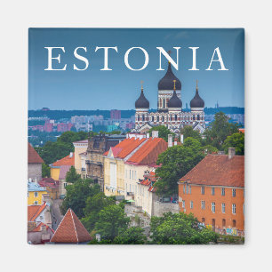 Cathedral and Cityscape   Estonia Magnet