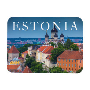 Cathedral and Cityscape   Estonia Magnet