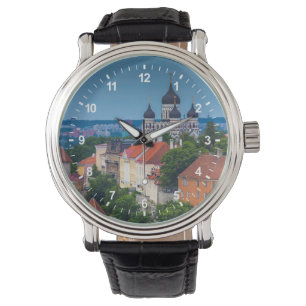 Cathedral and Cityscape   Estonia Watch