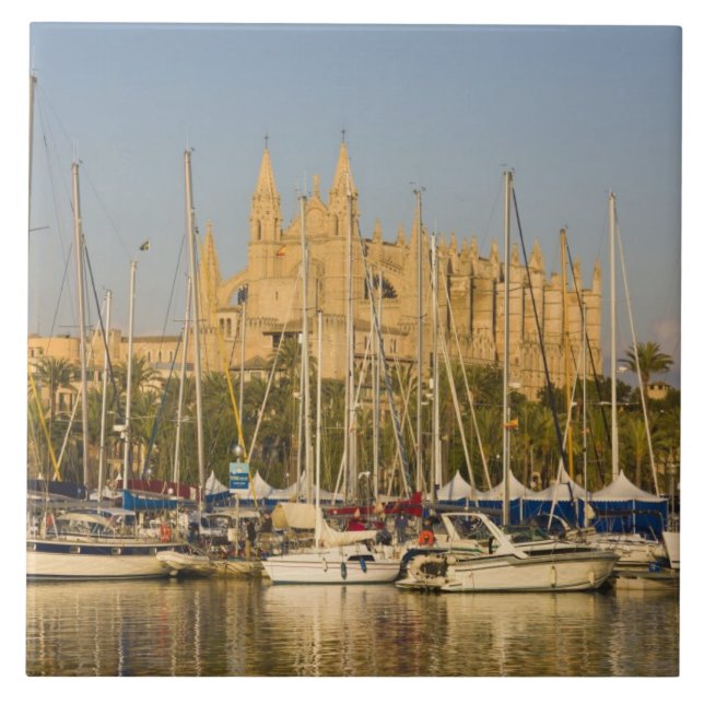 Cathedral and marina, Palma, Mallorca, Spain 2 Tile (Front)