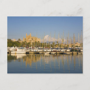 Cathedral and marina, Palma, Mallorca, Spain Postcard