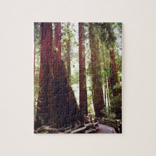 Cathedral Grove Jigsaw Puzzle