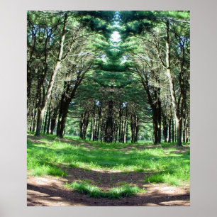 Cathedral of Trees Ken Gauge Photo Surrealism Art Poster