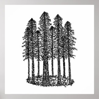 Cathedral Ring (Coastal Redwoods Sketch) Poster