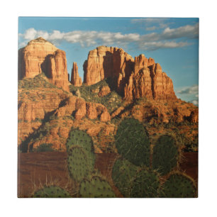 Cathedral Rock at Sunset from Secret Canyon Tile