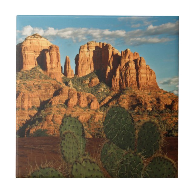 Cathedral Rock at Sunset from Secret Canyon Tile (Front)