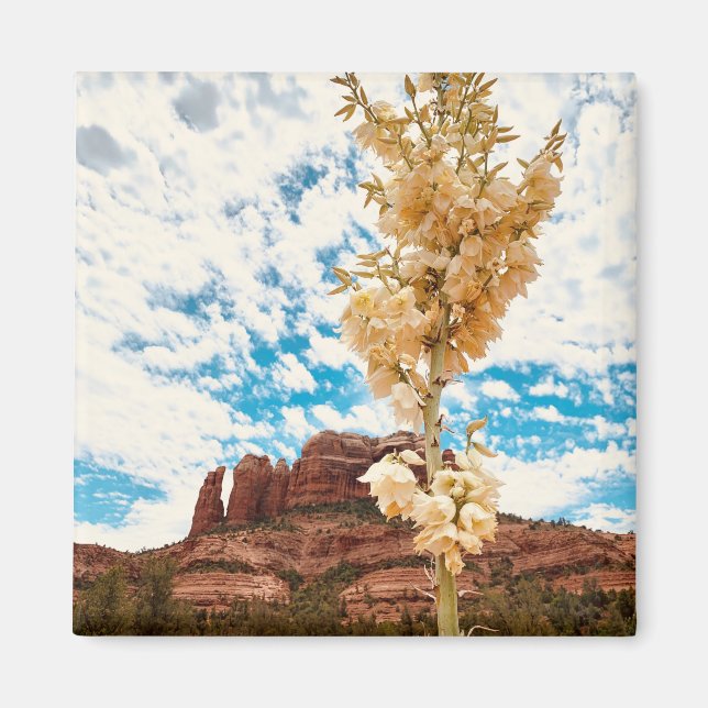 Cathedral Rock Sedona Magnet (Front)