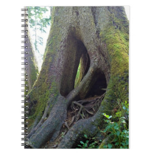 Cathedral Tree, Astoria, Oregon Notebook