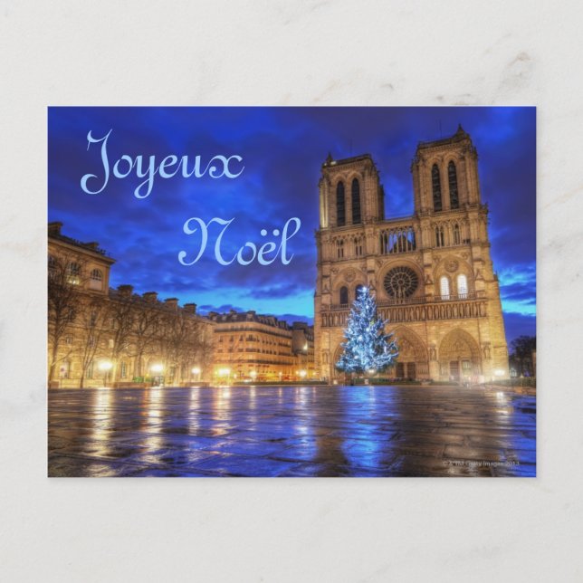 Cathédrale Notre-Dame de Paris Postcard (Front)