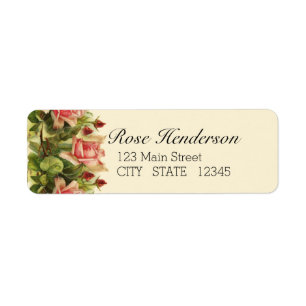 Catherine Klein Apricot Rose Adresse de retour