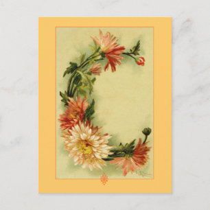 Catherine Klein Flower Alphabet C Chrysanthemum Postcard