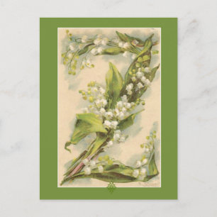 Catherine Klein Flower Alphabet Z Lily of Valley Postcard